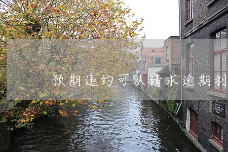 预期违约可以请求逾期利息吗 预期违约可以请求逾期利息吗