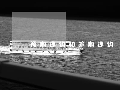 预期违约和逾期违约 预期违约和逾期违约