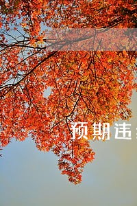 预期违约是否要计算逾期利息 预期违约是否要计算逾期利息
