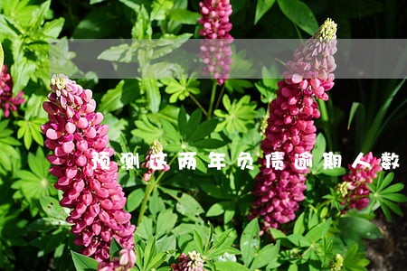 预测这两年负债逾期人数达到多少 预测这两年负债逾期人数达到多少