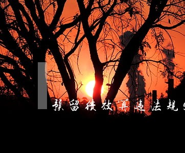 预留绩效算违法规定吗