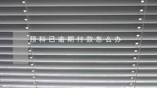 预科已逾期付款怎么办 预科已逾期付款怎么办