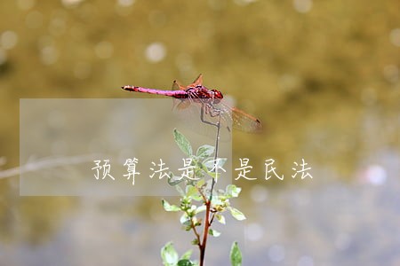 预算法是不是民法 预算法是不是民法