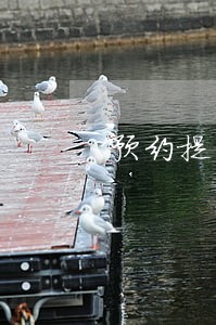 预约提前还贷逾期怎么办 预约提前还贷逾期怎么办