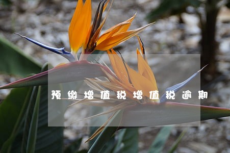 预缴增值税增值税逾期 预缴增值税增值税逾期