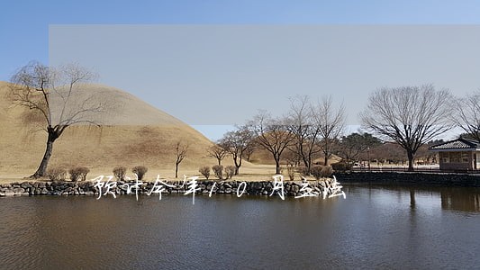 预计今年10月立法 预计今年10月立法