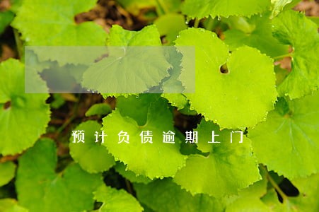 预计负债逾期上门 预计负债逾期上门
