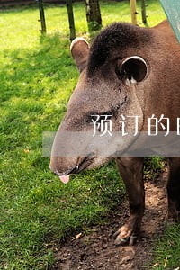 预订的邮票逾期未取怎样补救