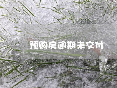 预购房逾期未交付 预购房逾期未交付