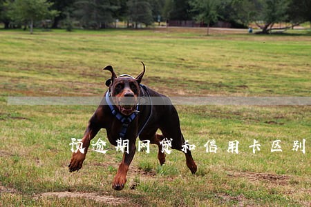 预逾期网贷和信用卡区别 预逾期网贷和信用卡区别