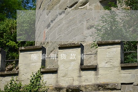 预逾期贷款率 预逾期贷款率