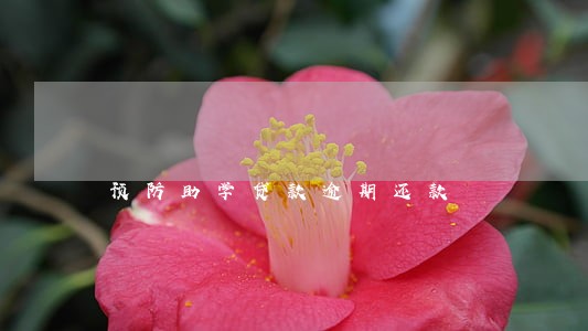 预防助学贷款逾期还款 预防助学贷款逾期还款