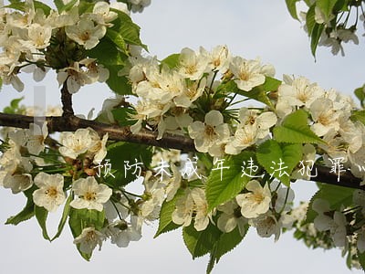 预防未成年违法犯罪心得体会5篇 预防未成年违法犯罪心得体会5篇