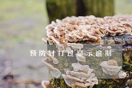 预防针打过显示逾期 预防针打过显示逾期