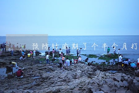 预防针逾期了个半个月打吗 预防针逾期了个半个月打吗