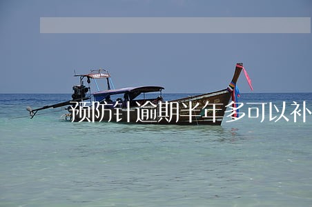 预防针逾期半年多可以补打吗