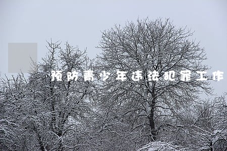预防青少年违法犯罪工作举措 预防青少年违法犯罪工作举措