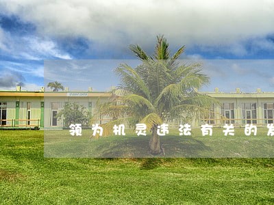 领为机灵违法有关的发声亮剑 领为机灵违法有关的发声亮剑