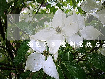 领克03逾期还款后果 领克03逾期还款后果