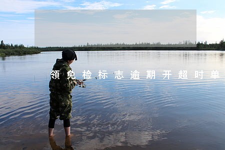 领免检标志逾期开超时单会罚款吗