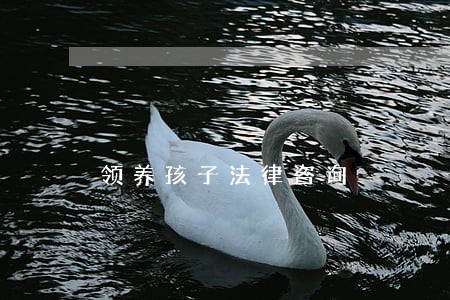 领养孩子法律咨询