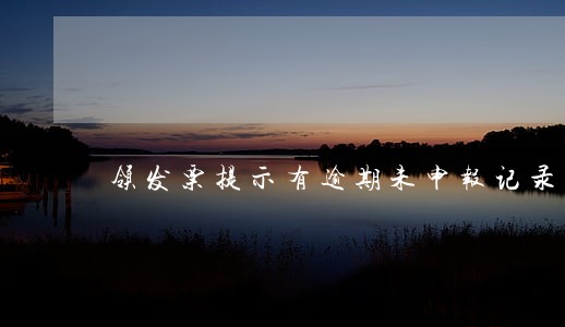 领发票提示有逾期未申报记录
