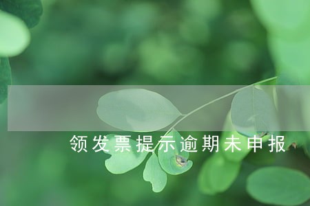领发票提示逾期未申报 领发票提示逾期未申报