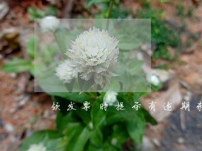 领发票时提示有逾期未申报信息 领发票时提示有逾期未申报信息