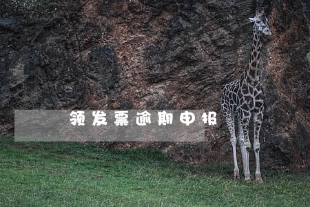 领发票逾期申报 领发票逾期申报