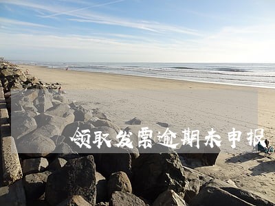 领取发票逾期未申报