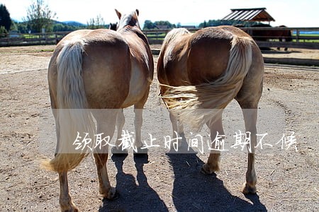 领取截止时间逾期不候 领取截止时间逾期不候