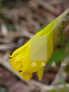 领取通知书存在逾期吗 领取通知书存在逾期吗