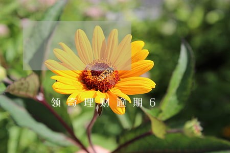 领奇理财逾期6