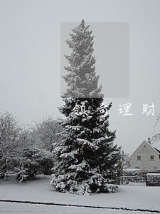 领奇理财逾期公告