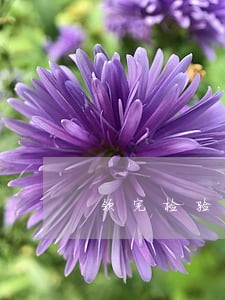 领完检验标志还显示逾期呢 领完检验标志还显示逾期呢