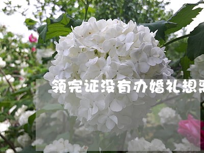 领完证没有办婚礼想离婚 领完证没有办婚礼想离婚