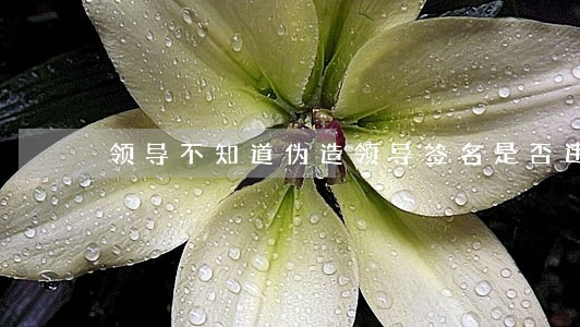 领导不知道伪造领导签名是否违法