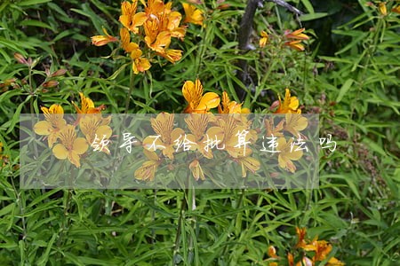 领导不给批算违法吗 领导不给批算违法吗