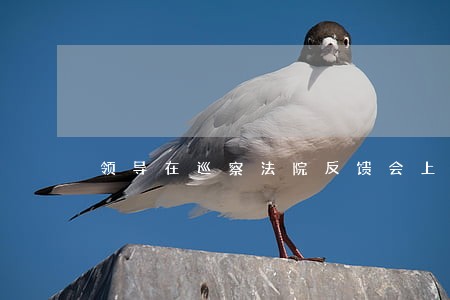 领导在巡察法院反馈会上的讲话