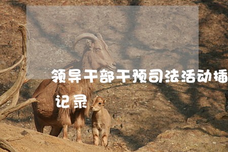 领导干部干预司法活动插手具体案件处理的记录 领导干部干预司法活动插手具体案件处理的记录