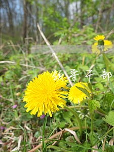 领导干部报告个人事项两项法规 领导干部报告个人事项两项法规