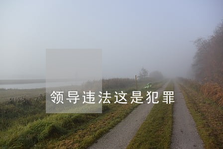 领导违法这是犯罪 领导违法这是犯罪