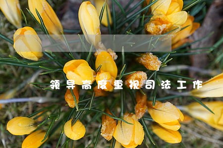 领导高度重视司法工作 领导高度重视司法工作