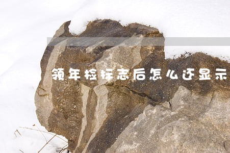 领年检标志后怎么还显示逾期 领年检标志后怎么还显示逾期