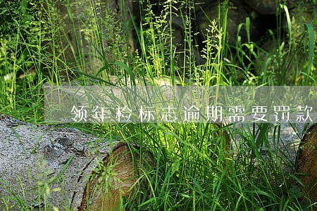 领年检标志逾期需要罚款么 领年检标志逾期需要罚款么