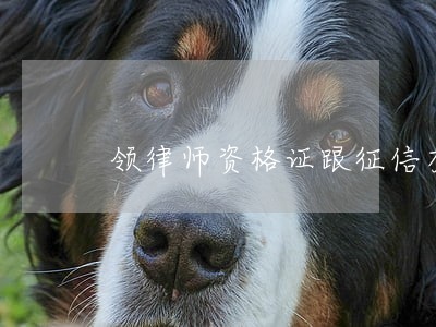 领律师资格证跟征信有关吗 领律师资格证跟征信有关吗