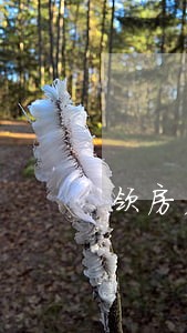 领房产证通知领证的逾期是指 领房产证通知领证的逾期是指