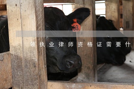 领执业律师资格证需要什么材料 领执业律师资格证需要什么材料