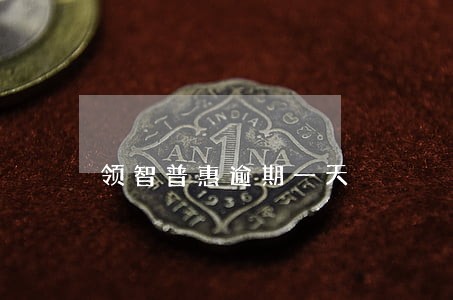 领智普惠逾期一天 领智普惠逾期一天