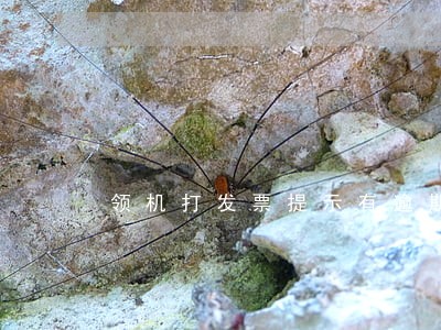 领机打发票提示有逾期未申报记录 领机打发票提示有逾期未申报记录